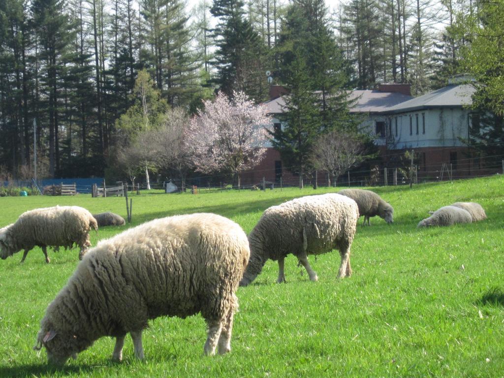 Yorkshire Farm Villa Shintoku Exteriör bild