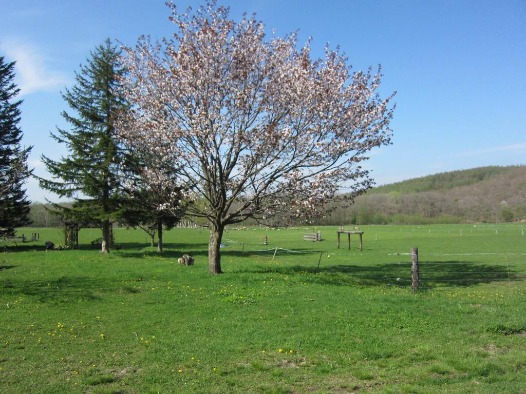 Yorkshire Farm Villa Shintoku Exteriör bild