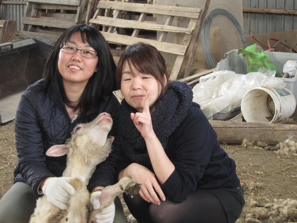 Yorkshire Farm Villa Shintoku Exteriör bild